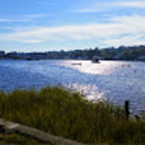 Meet your Posher, Audrey